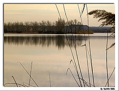 photo "and having concealed breath... #2"