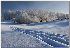 photo "Winter"
