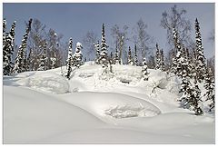 фото "crw28631"