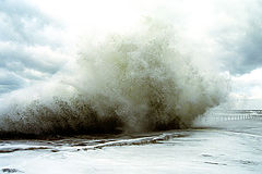 photo "storm"