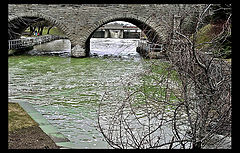 photo "Cloudy spring day"