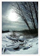 photo "The winter come back"