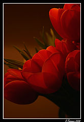 photo "In red."