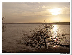 photo "evening in march *6     /from a series /"