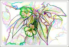photo "Aquarelle I"