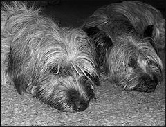 photo "We as though sleep, but nevertheless we look...:)"