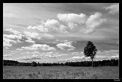 photo "***"
