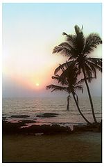 photo "just a poster"