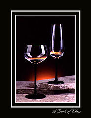 photo "A Touch of Class"