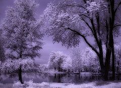 photo "Enchanted Scenery"