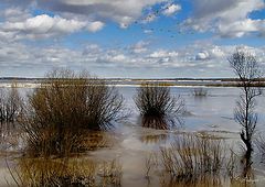 photo "Untitled photo"