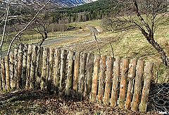 фото "Pictures  from aalesund"