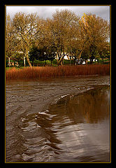 photo "the luminous river"