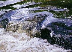 фото "Derbyshire 4"