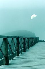 photo "Walk to the Moon"