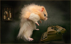 photo "Inspiration"