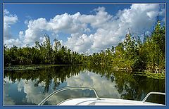 photo "Still water"