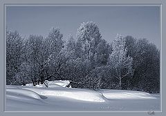 photo "Snow"