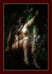 photo "Hiding"