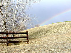 photo "Follow the rainbow"