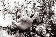 фотоальбом "Руки и тени"