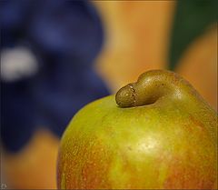photo "Impotence."