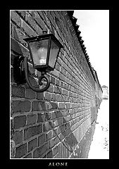 photo "Alone"