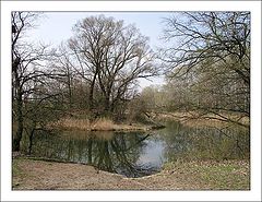 photo "The Lake"