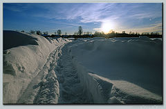 photo "Memoirs on a snow – 2"