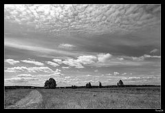 photo "***"