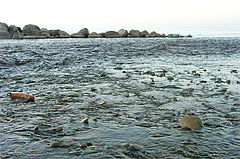 photo "Baltic sea"