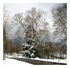 photo "Easter weather"