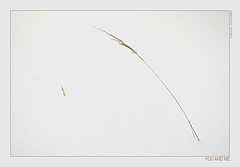 photo "You & Me"
