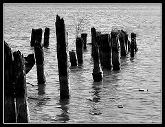 photo "Alone with ourselves we remain, when they leave"