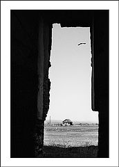 photo "Untitled photo"