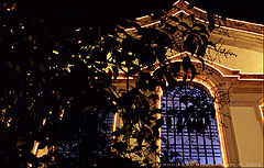 фото "(no title)"