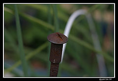 фото "Rusty Spoke"