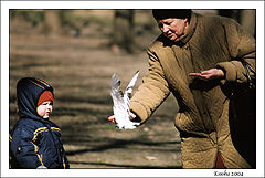 фото "В парке"