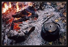 photo "Tea works. (1)"