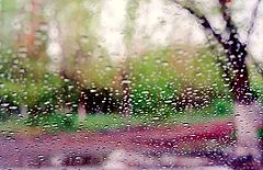 photo "The first thunder-storm in this Spring"