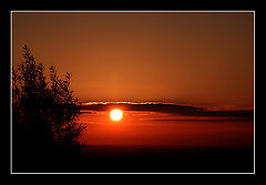 photo "_o_____"