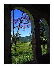 photo "BLUE SKY"