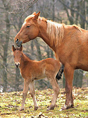 photo "Mommy and Me"