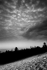 фото "goloborze -  stonefield"