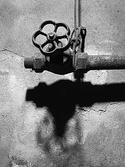 photo "The Shadow of a Shade"