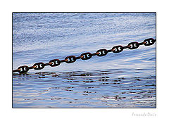 photo "Chain"
