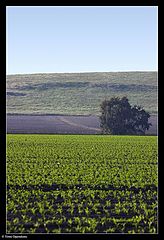 photo "Layers"