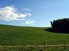 photo "Alentejo`s Plain"