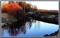 фото "Вербное..."