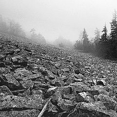 фото "goloborze - stonefield - II"